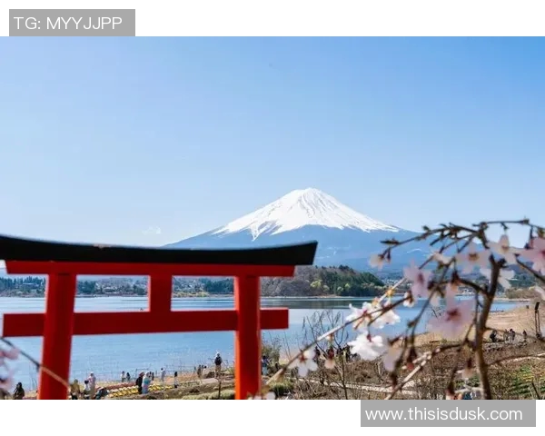 日本VS站的魅力与挑战探索日本文化与旅游的完美结合之旅